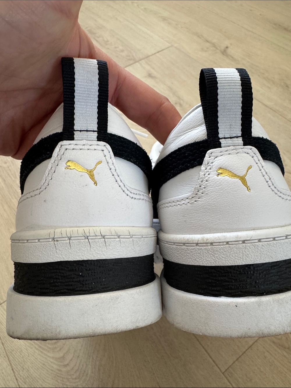 Puma platform - Picture 6 of 9